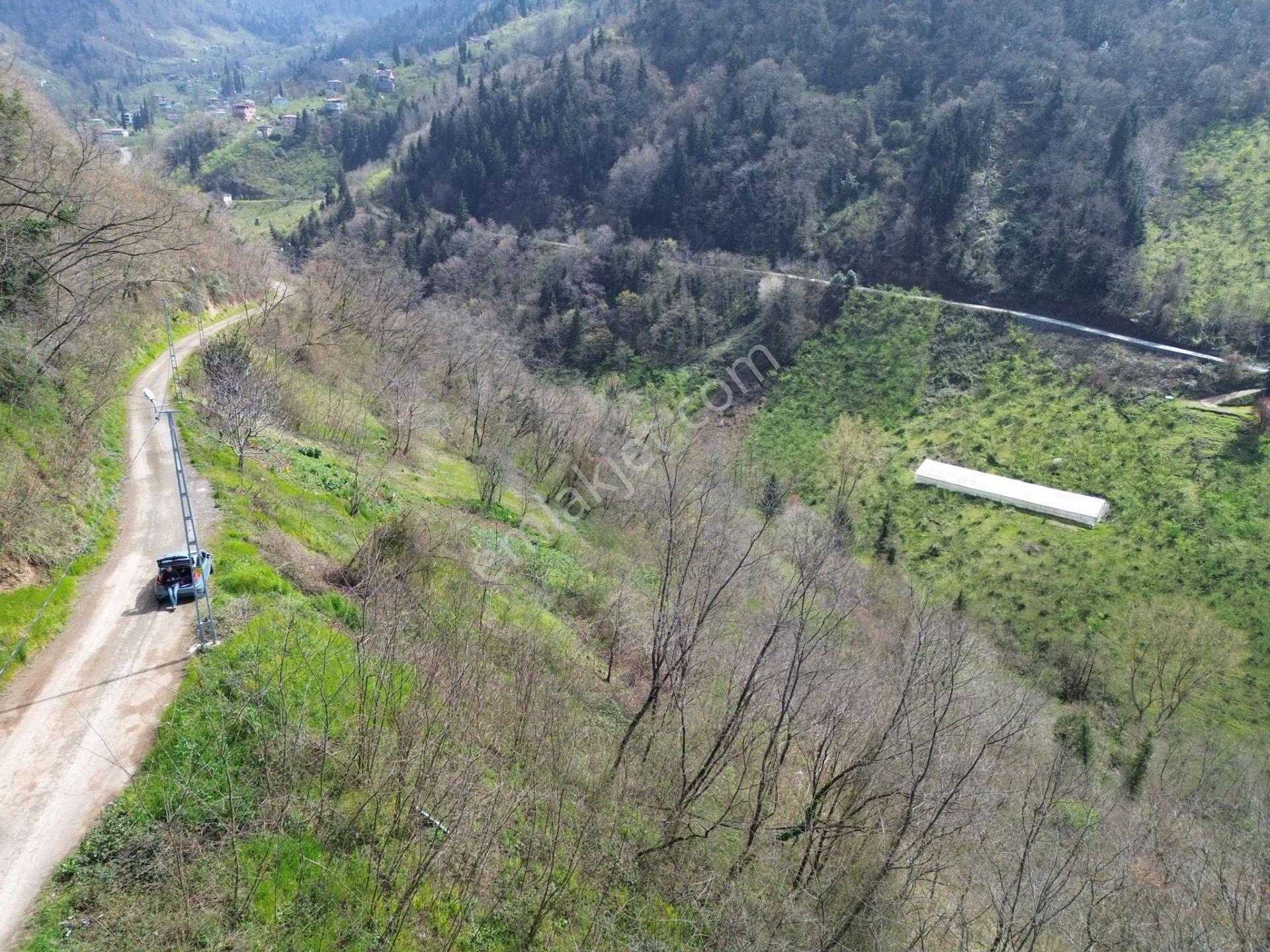Trabzon Ortahisar'da Satılık Arazi - Görsel 10