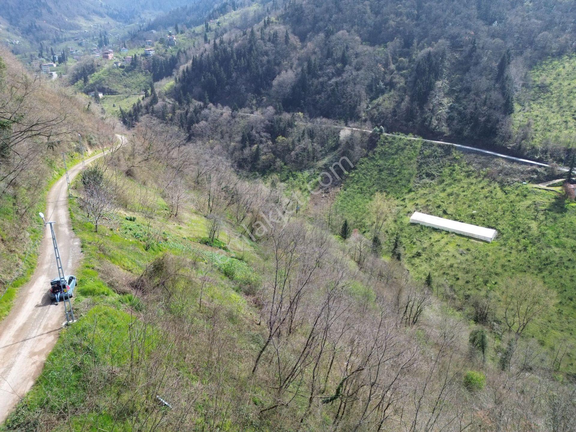 Trabzon Ortahisar'da Satılık Arazi - Görsel 14
