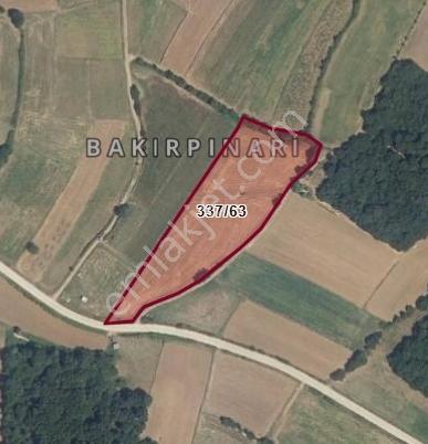 Yıldırım Emlak'tan Bafra Bakırpınar'da Satılık 9833m² Tarla - Görsel 3