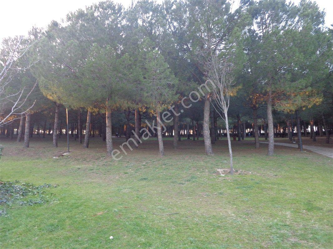 Bursa Nilüfer Beşevler Çamlıca Da Kiralık 3+1 Manzaralı Lüx Daire 40.000 Tl - Görsel 24