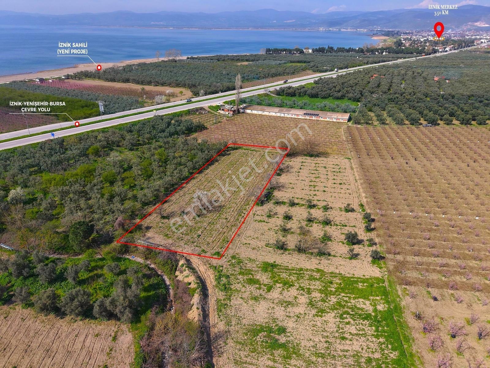 İznik Sahiline Yakın | 2.810 M² Kayısı Tarlası | - Görsel 14