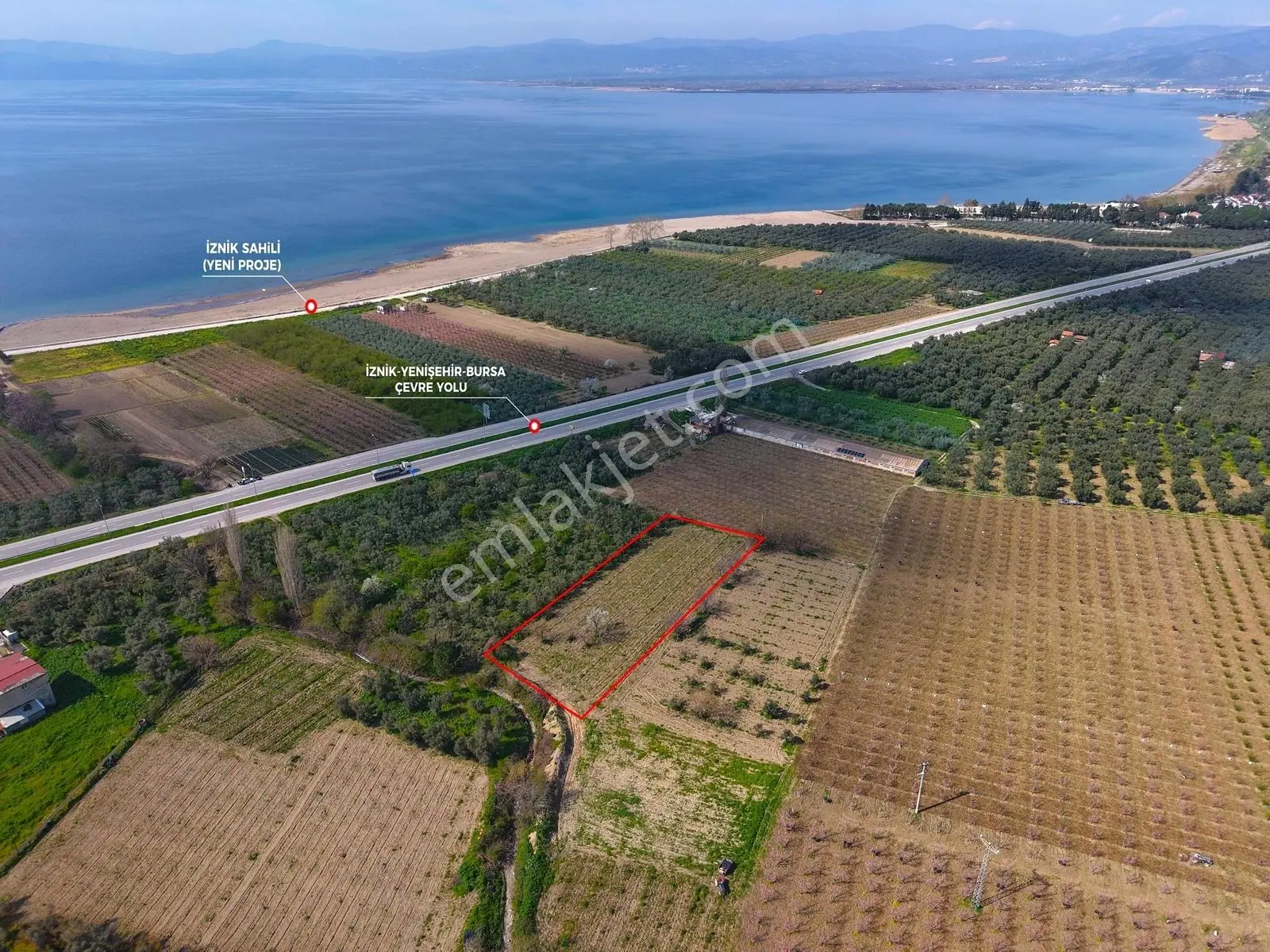 İznik Sahiline Yakın | 2.810 M² Kayısı Tarlası |