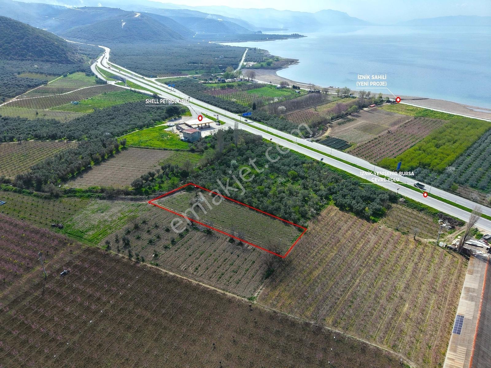 İznik Sahiline Yakın | 2.810 M² Kayısı Tarlası | - Görsel 13