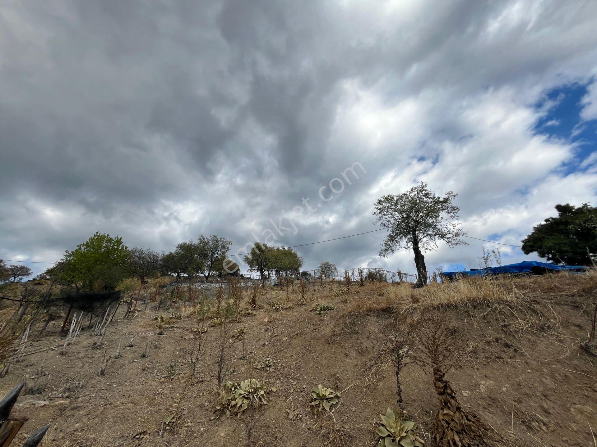Tepeoba'da İmarlı Ferah Satılık %40 İmarlı Arsa - Görsel 5