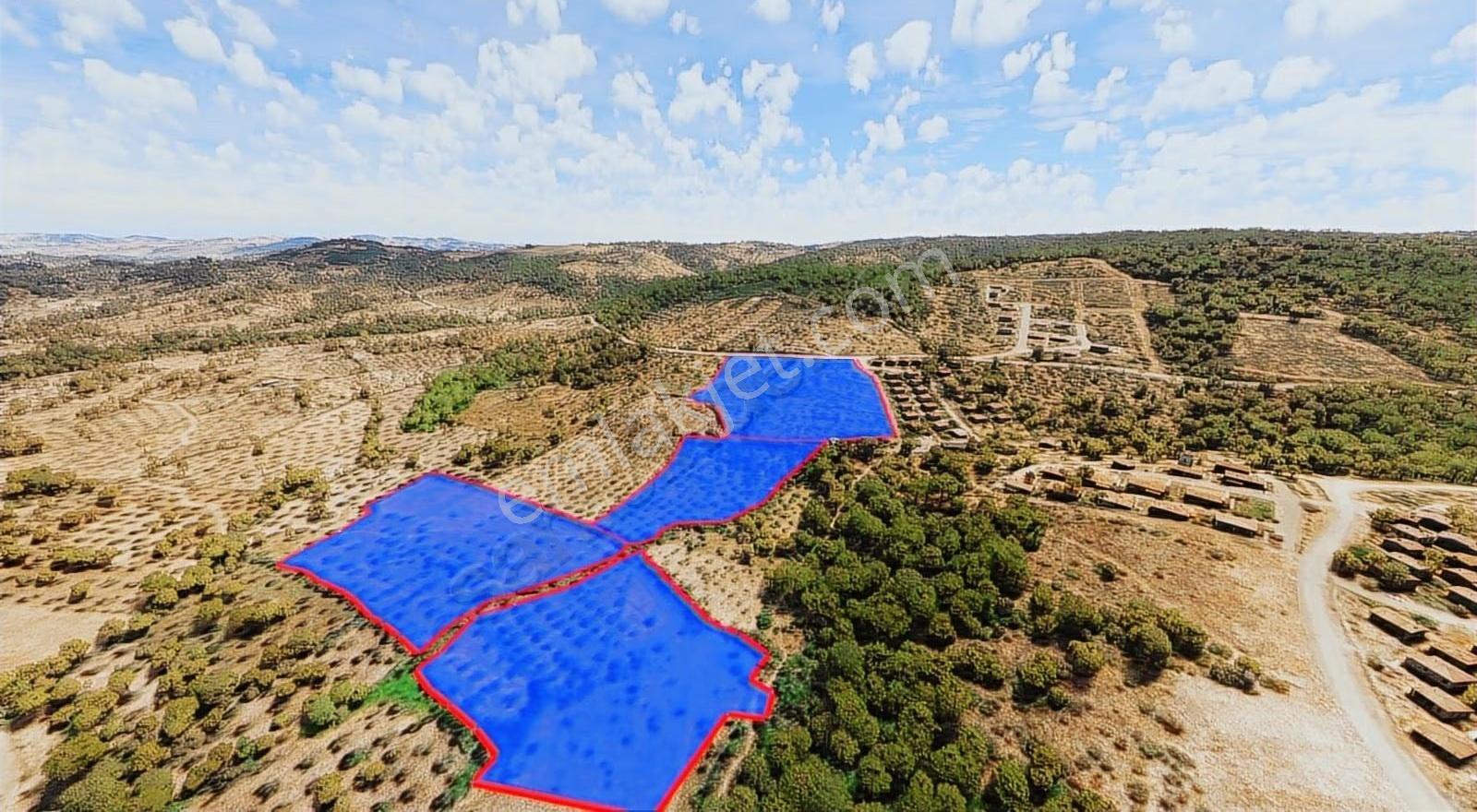 Çanakkale Babakale'de Satılık Arazi Değil Satılık Gelecek Var... - Görsel 26