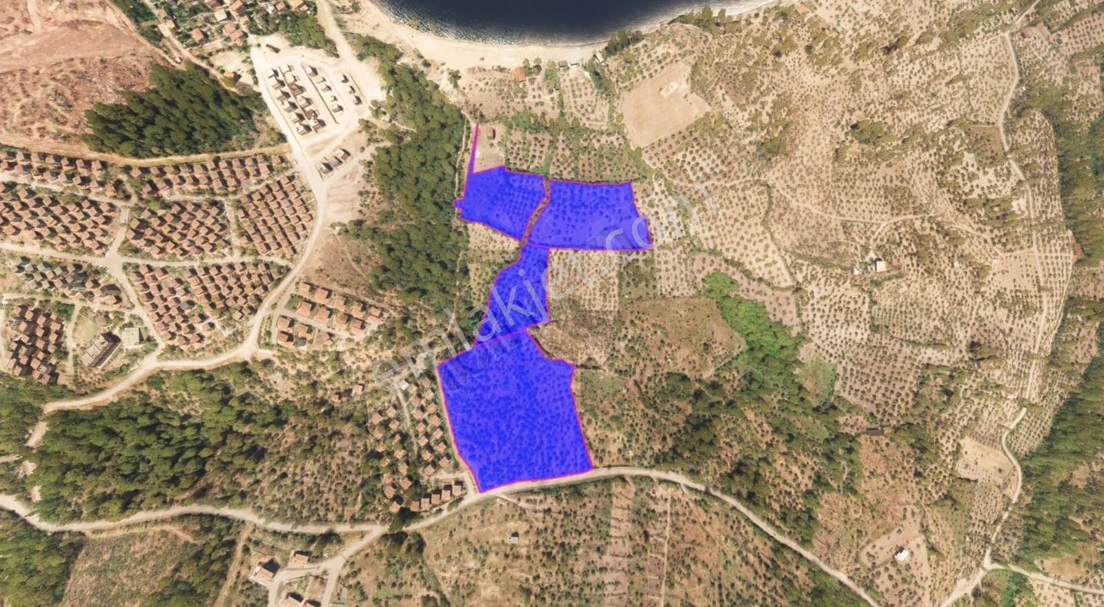 Çanakkale Babakale'de Satılık Arazi Değil Satılık Gelecek Var... - Görsel 5
