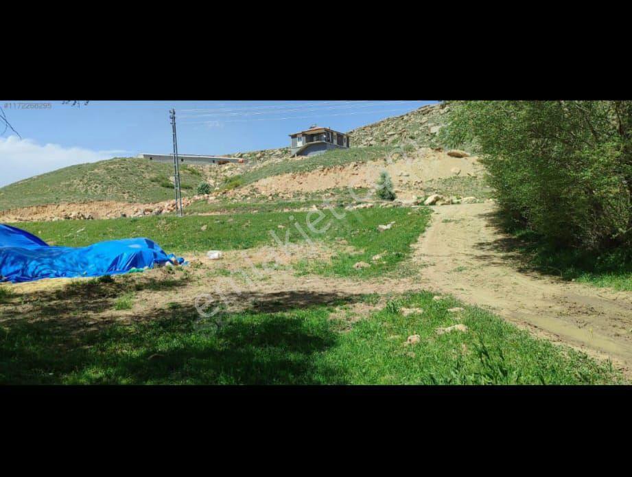 Bundan Uygunu Yok Yola Cepheli Köy İçinde 12 Dönüm Acil Satılık - Görsel 3