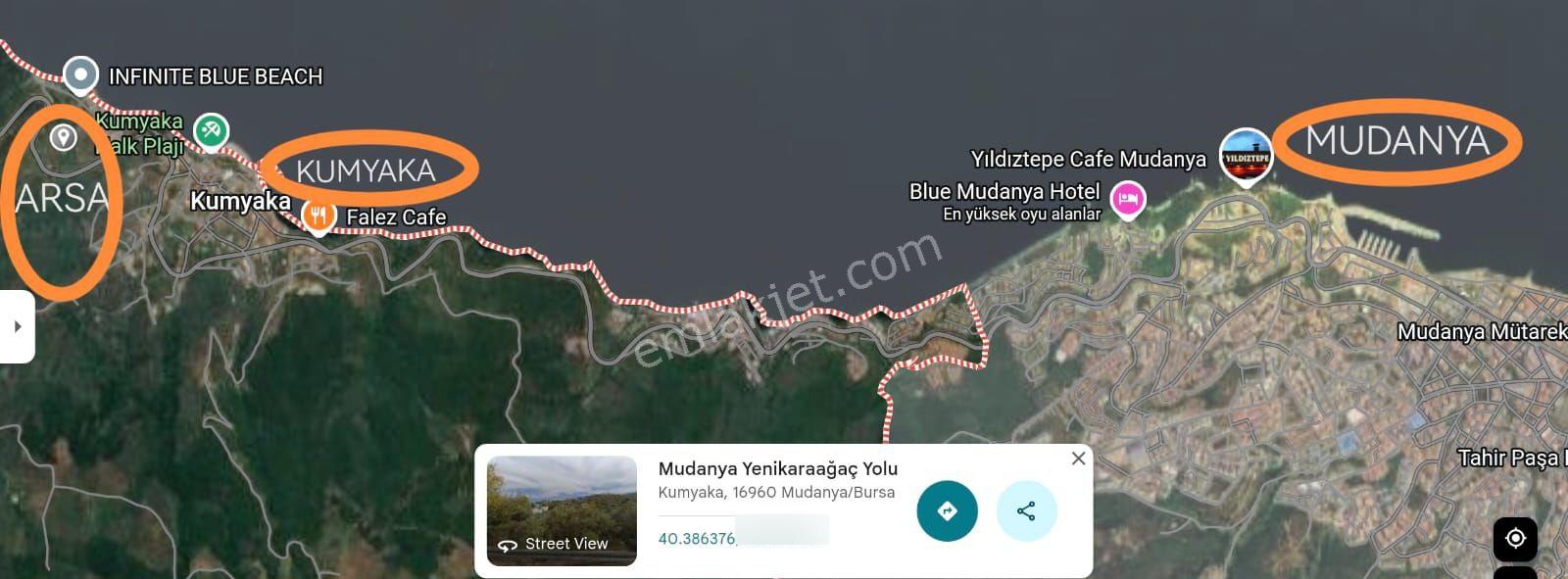 Mudanya Kumyaka'da Denize 150 Mt'de Zeytinlik - Görsel 5