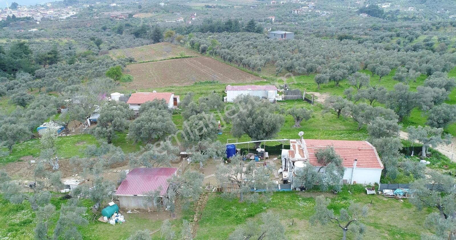 Torbalı Çakırbeyli'de 7.7 Dönüm Alt Yapısı Tam Cennet Bahçesi - Görsel 30