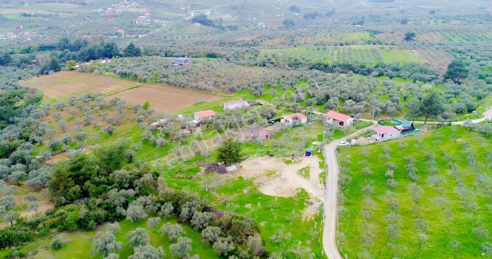 Torbalı Çakırbeyli'de 7.7 Dönüm Alt Yapısı Tam Cennet Bahçesi - Görsel 15