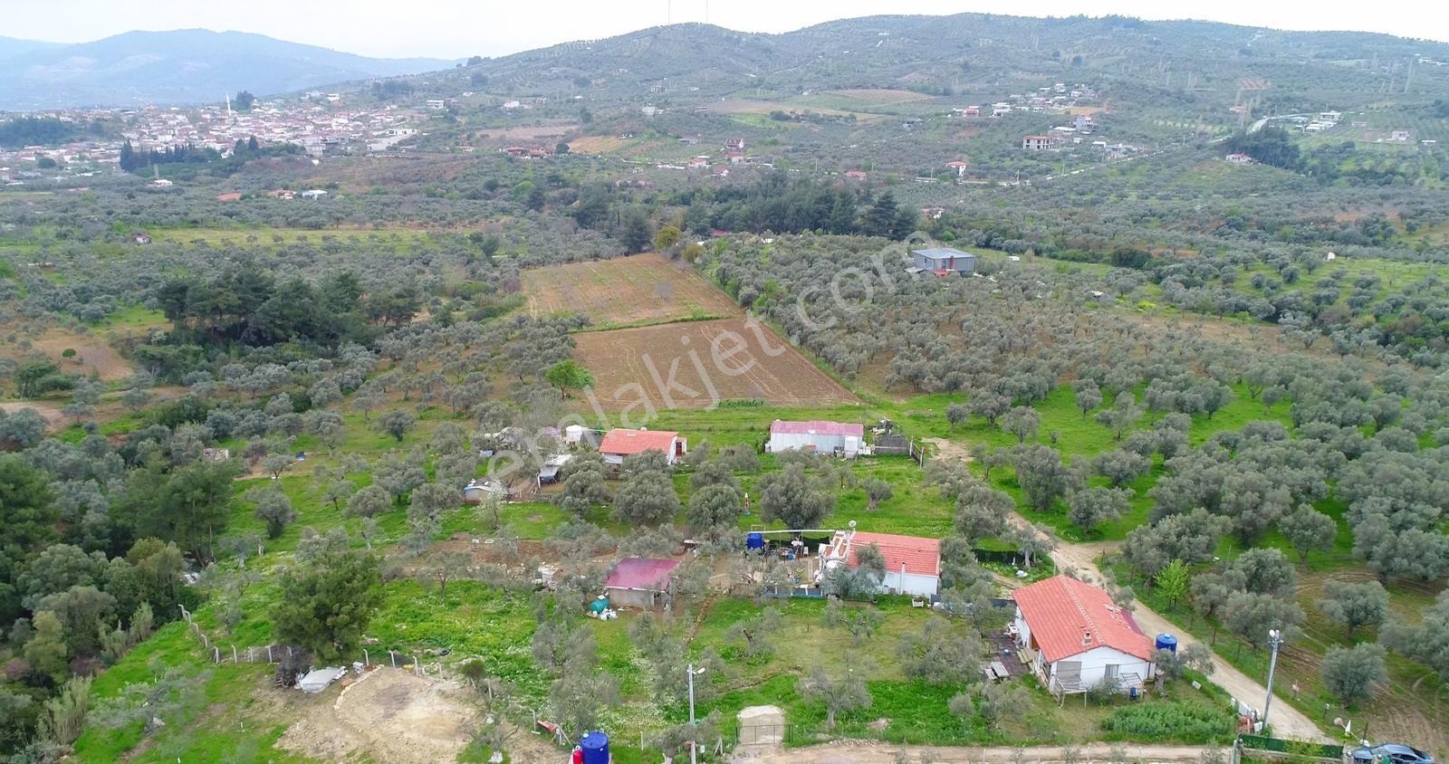 Torbalı Çakırbeyli'de 7.7 Dönüm Alt Yapısı Tam Cennet Bahçesi - Görsel 14