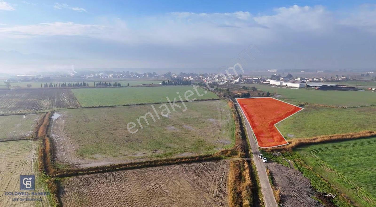 Çiğli Kaklıçta13.800 M2 Satılık Tarla - Görsel 5