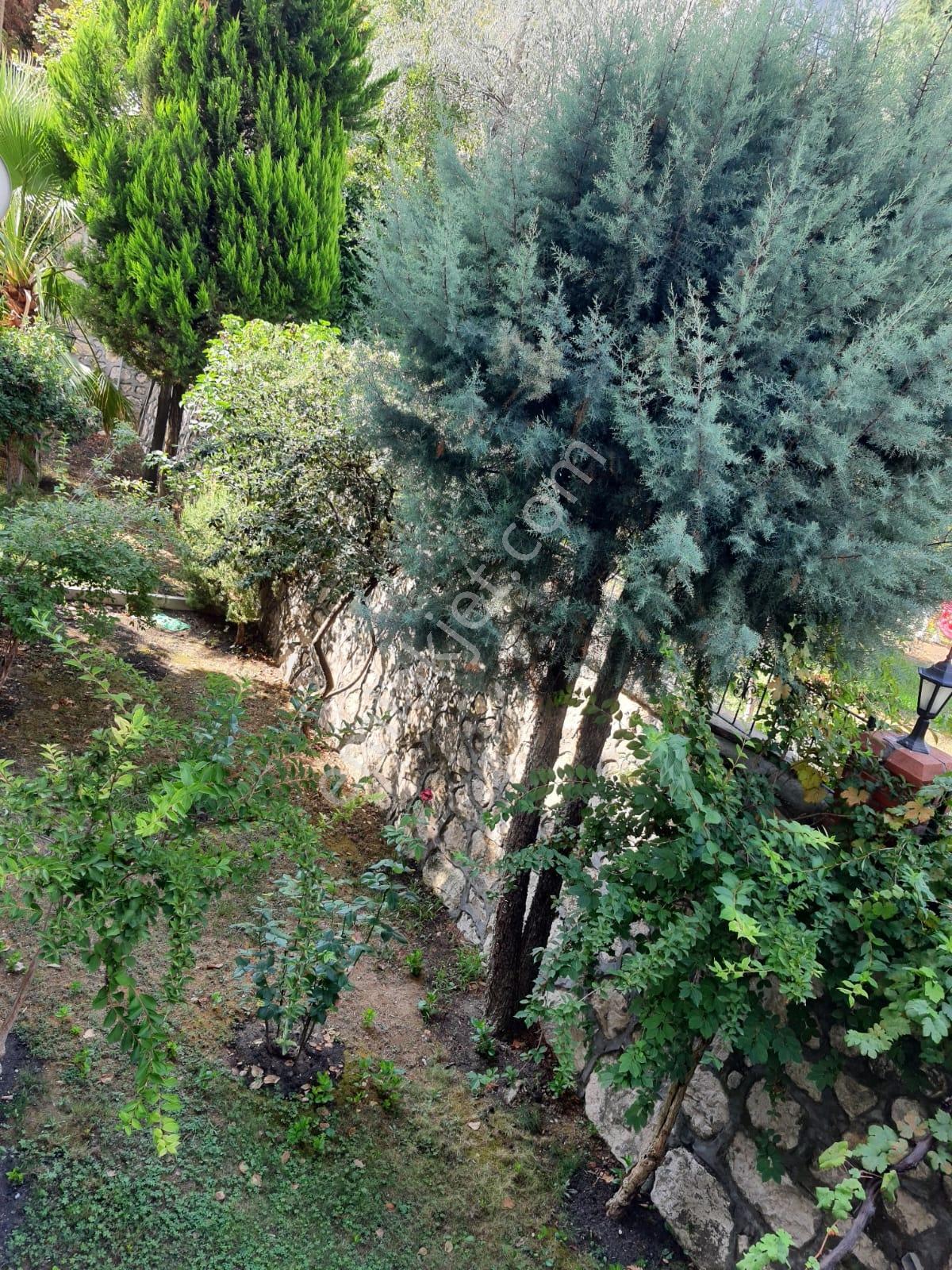 Wınner Wall'dan Cevizlibahçede Aile Sitesinde 3+1 Daire - Görsel 33