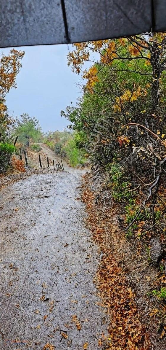 Akbük Koyuna En Yakın Mahallede Satılık Tarla - Görsel 7