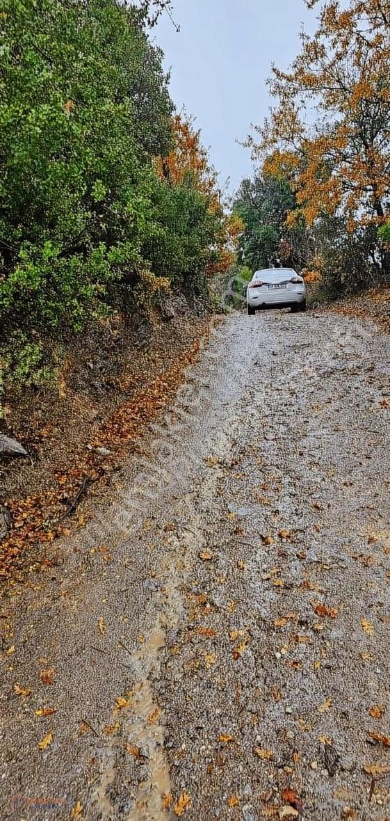 Akbük Koyuna En Yakın Mahallede Satılık Tarla - Görsel 2