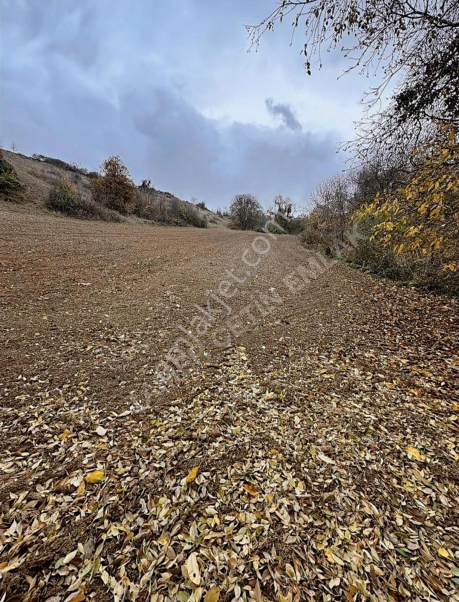 Köyiçi Yatırımlık - Görsel 6