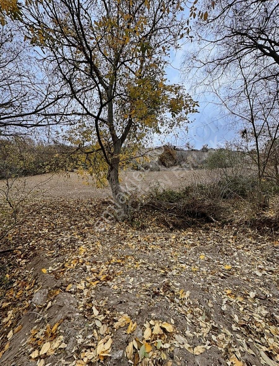 Köyiçi Yatırımlık - Görsel 8
