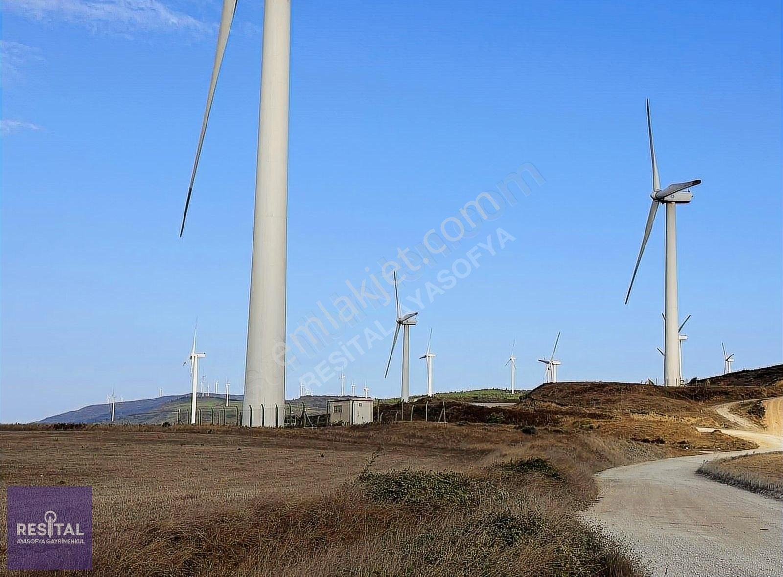 Bandırma Sahil Yenice 15 Dönüm Manzaralı Arazi - Görsel 7