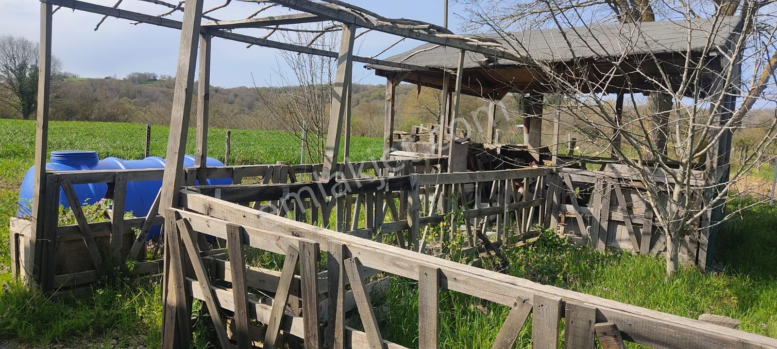 Yılmaz Emlaktan Mükemmel Fırsat - Görsel 9