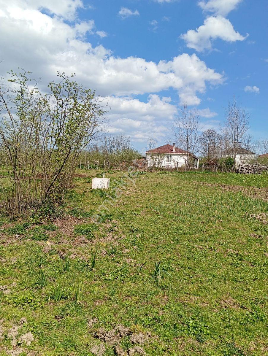 Görgülü Emlaktan Satılık Findik Bahçesi 9095 M² - Görsel 20