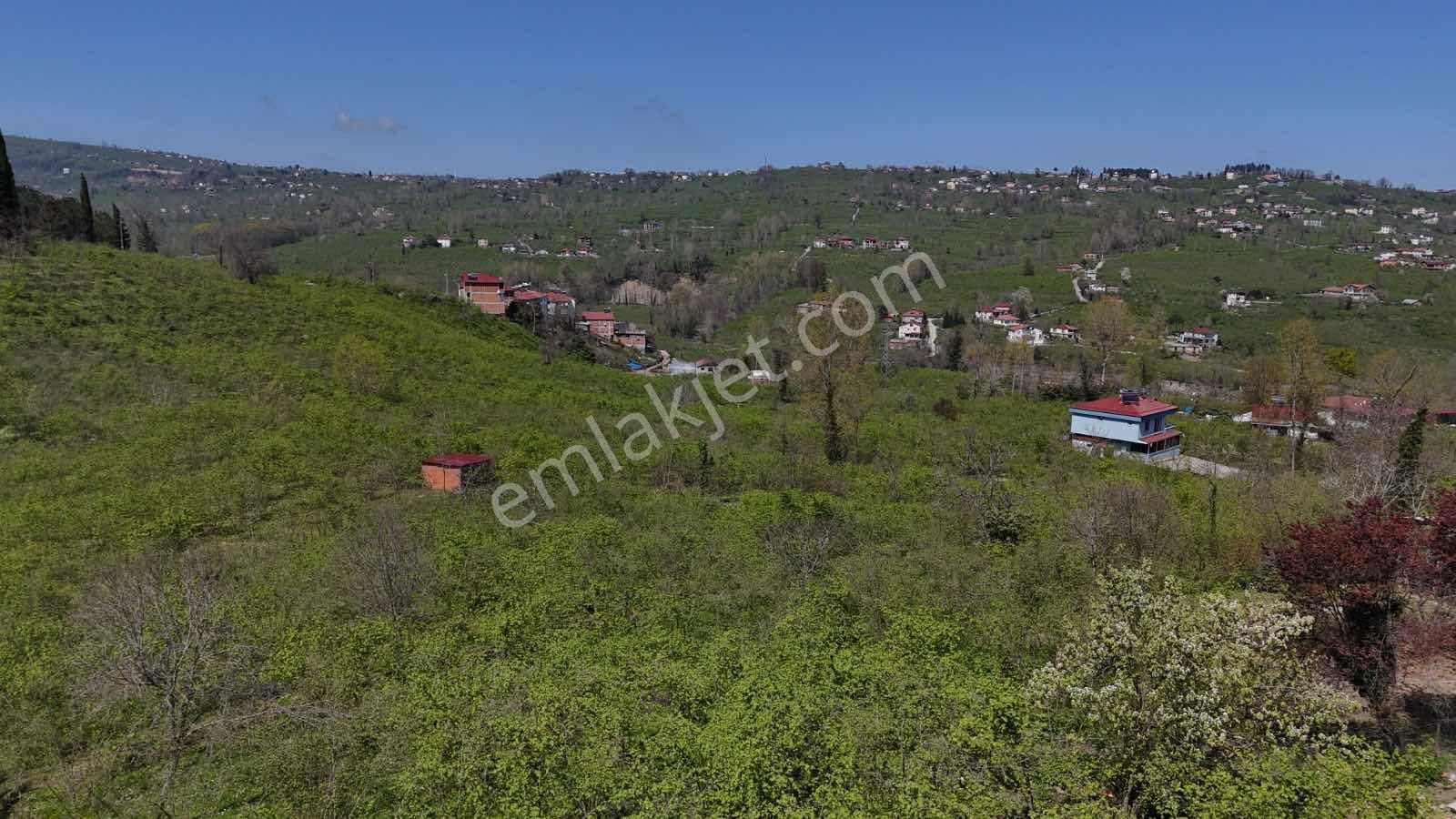 Ordu Kökenli Mahallesinde Satılık Arsa - Görsel 9