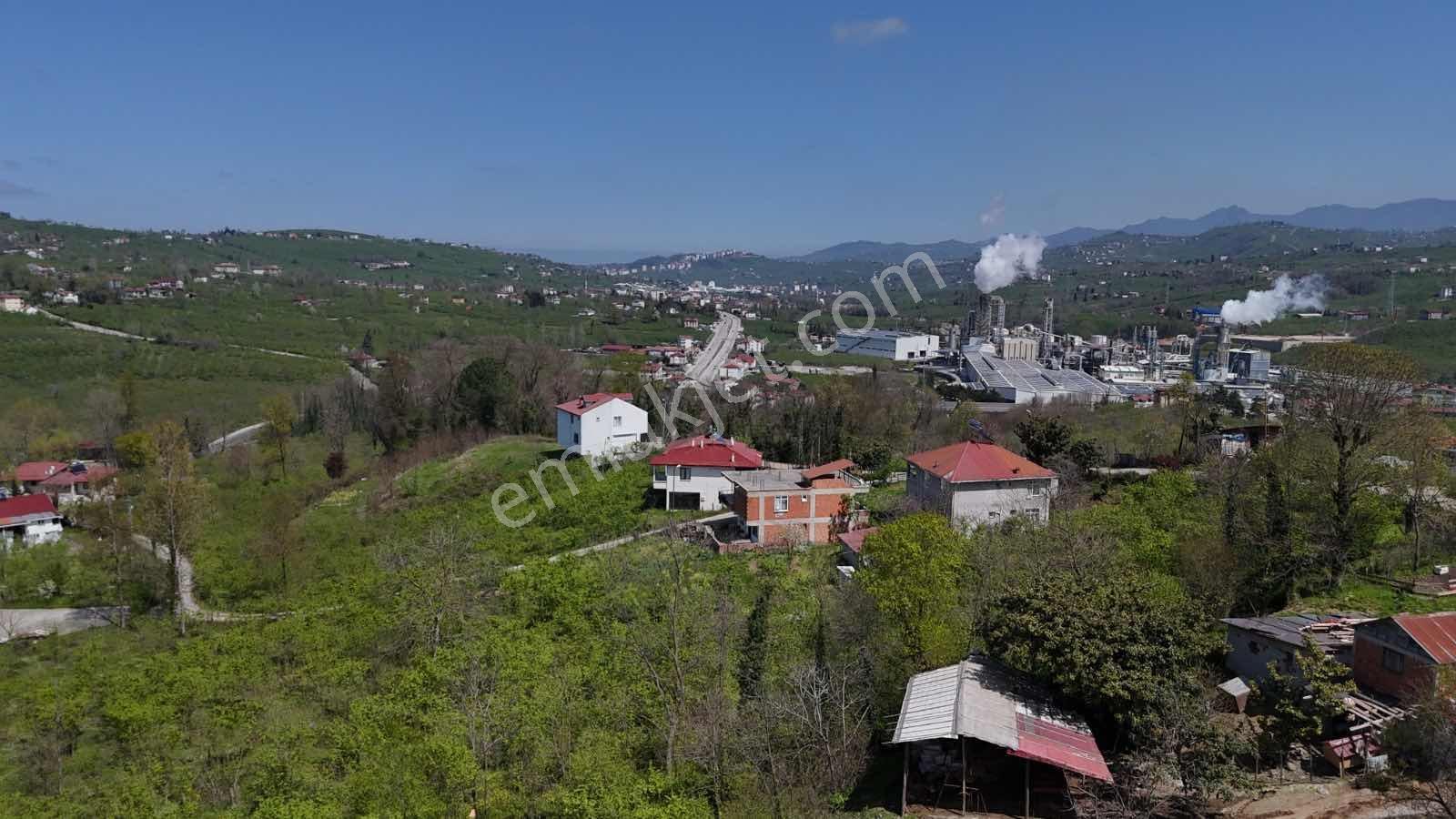Ordu Kökenli Mahallesinde Satılık Arsa - Görsel 5