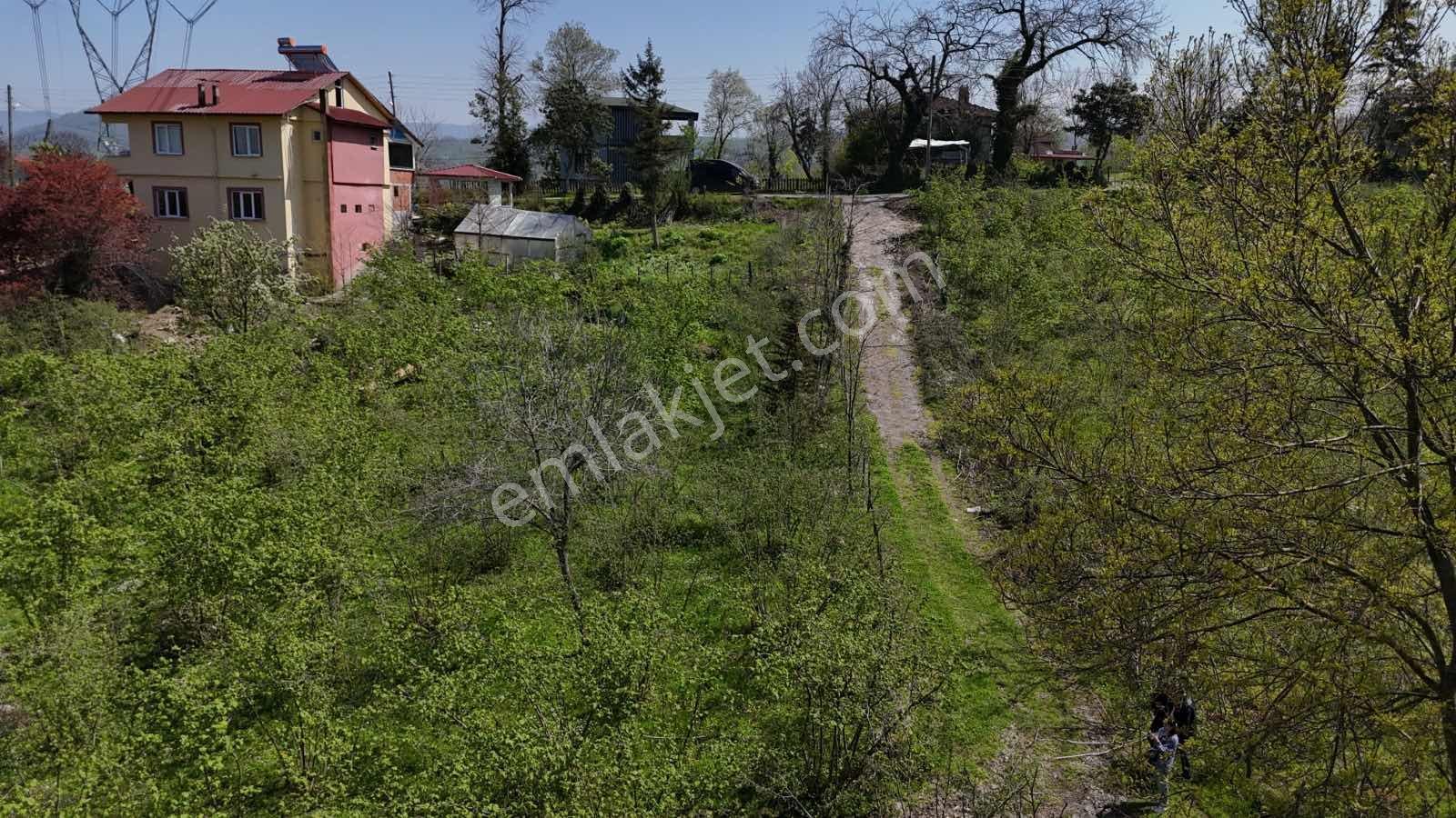 Ordu Kökenli Mahallesinde Satılık Arsa - Görsel 12