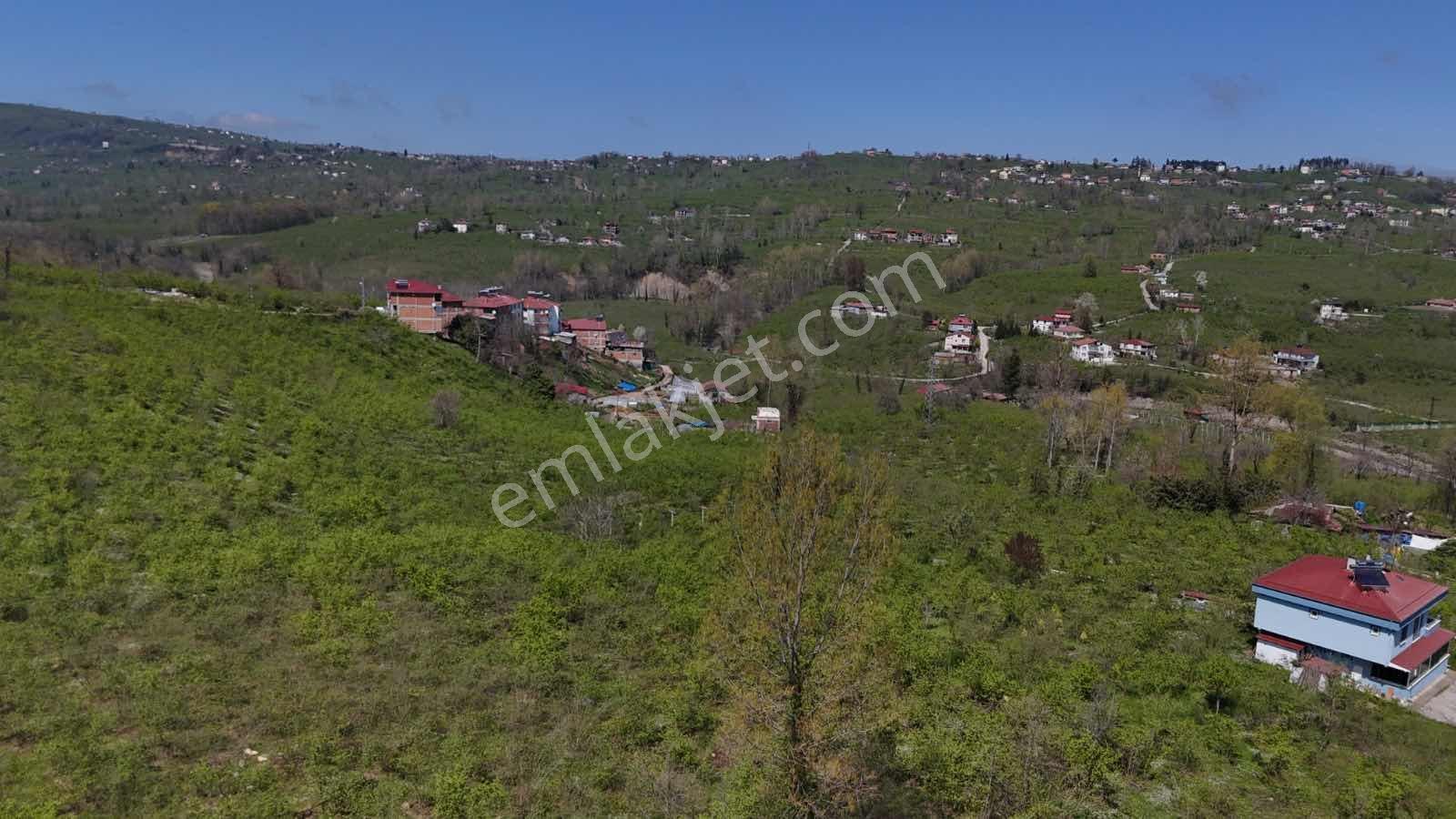 Ordu Kökenli Mahallesinde Satılık Arsa - Görsel 19