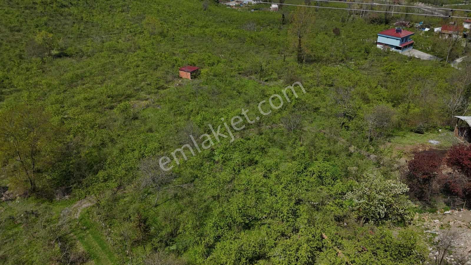 Ordu Kökenli Mahallesinde Satılık Arsa - Görsel 26