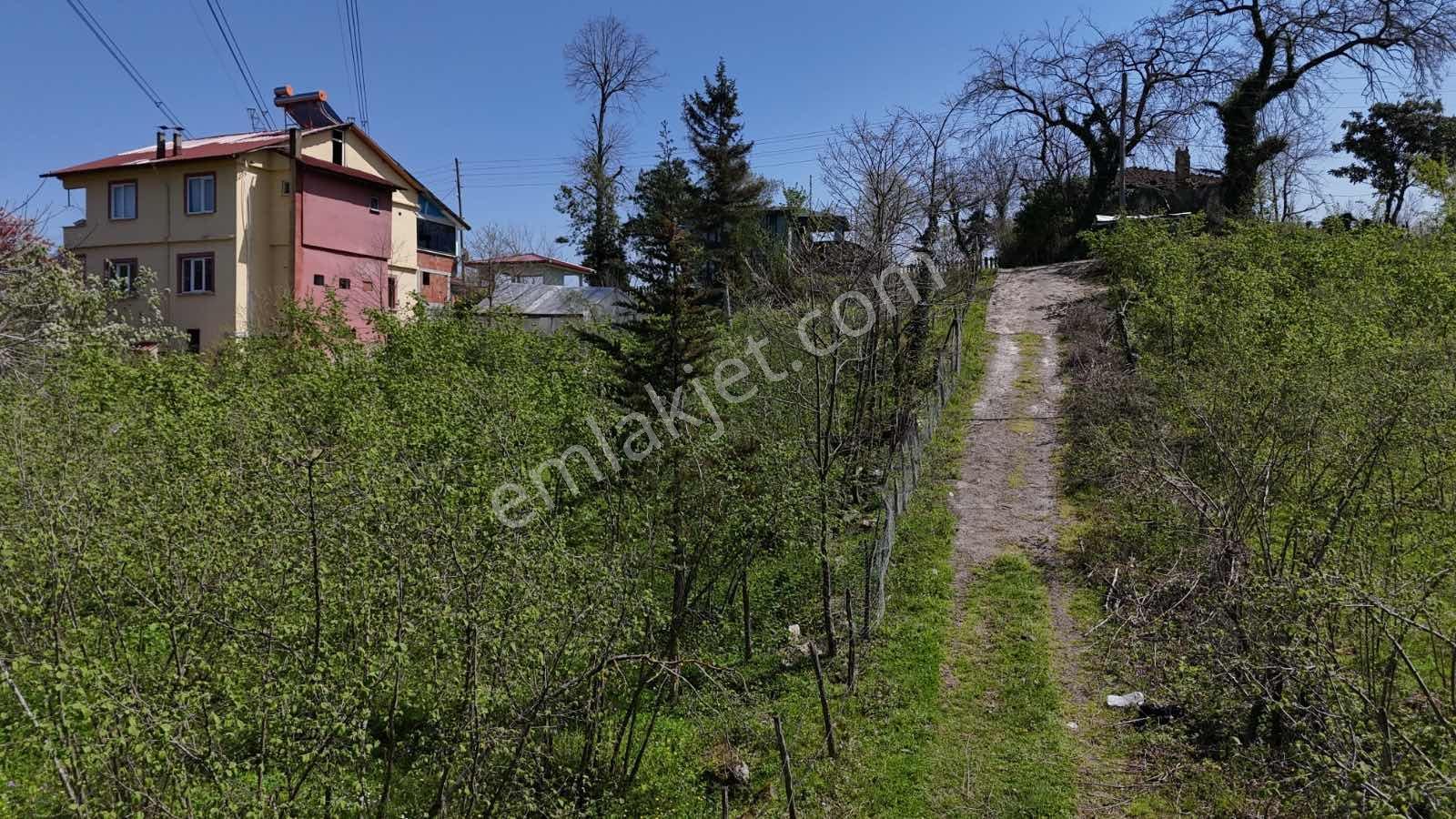 Ordu Kökenli Mahallesinde Satılık Arsa - Görsel 14
