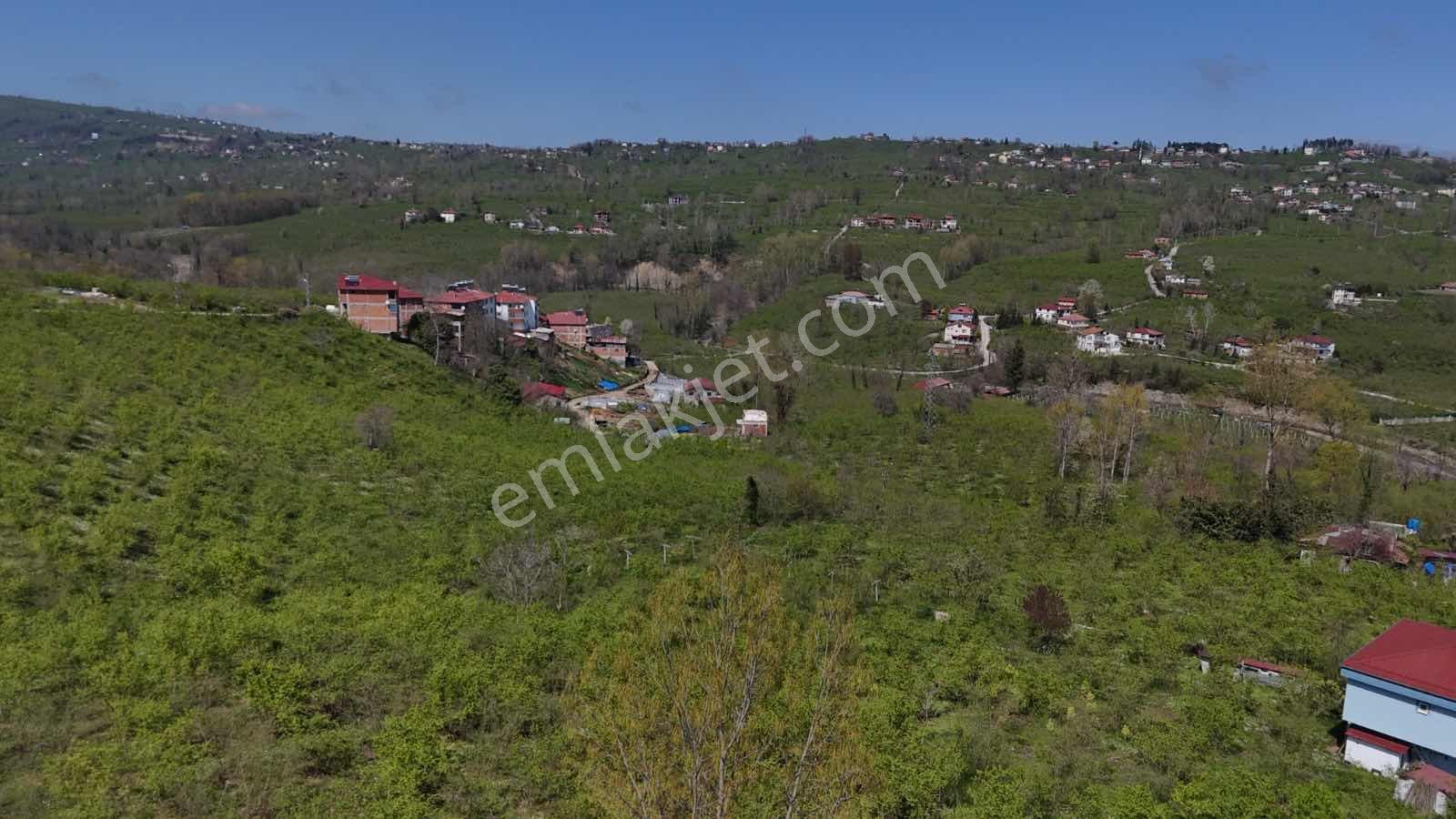 Ordu Kökenli Mahallesinde Satılık Arsa - Görsel 24