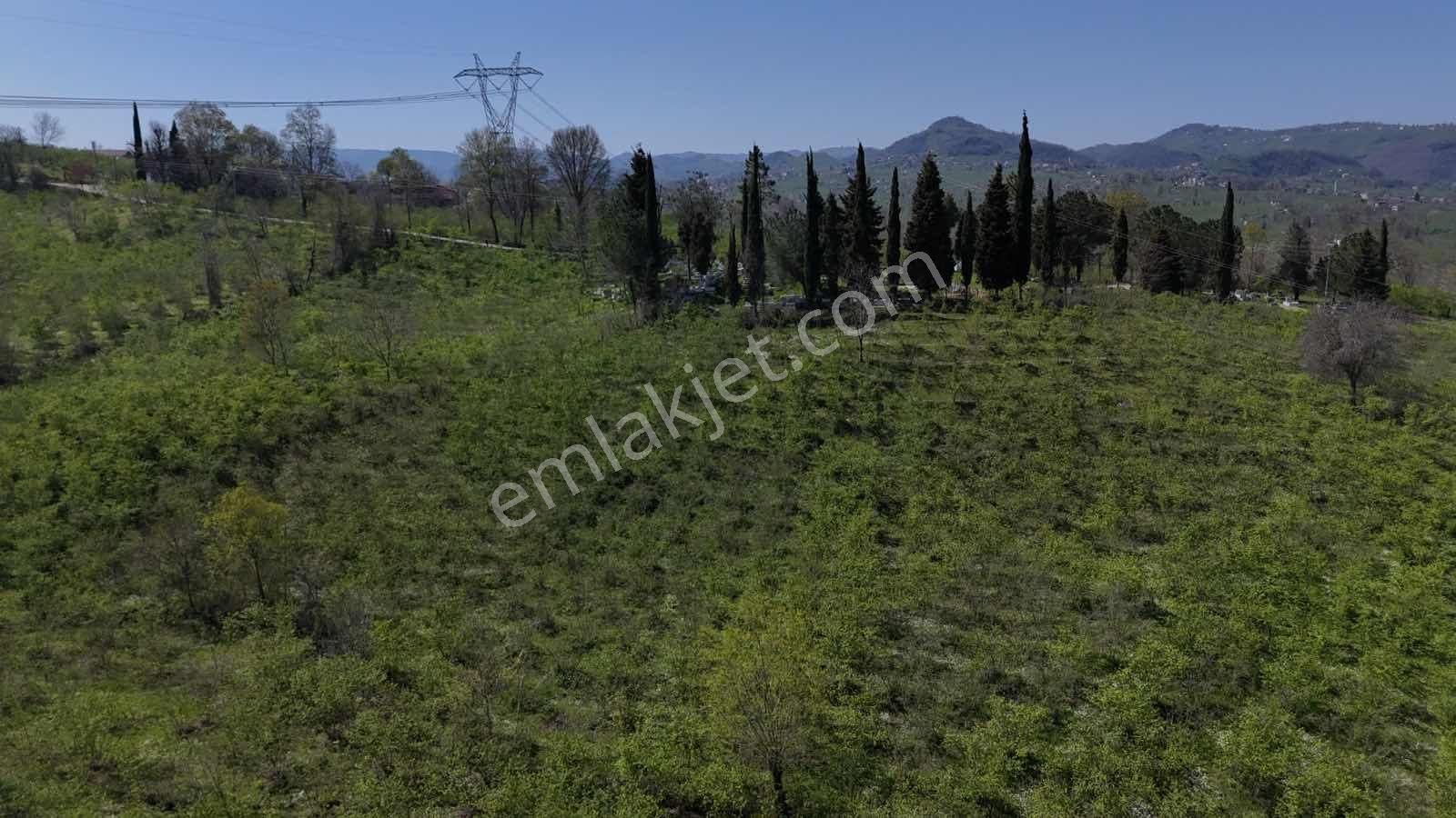 Ordu Kökenli Mahallesinde Satılık Arsa - Görsel 25