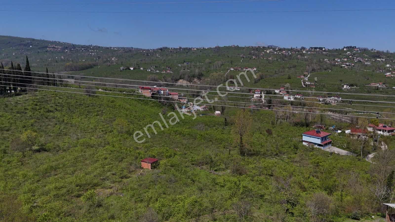 Ordu Kökenli Mahallesinde Satılık Arsa - Görsel 31