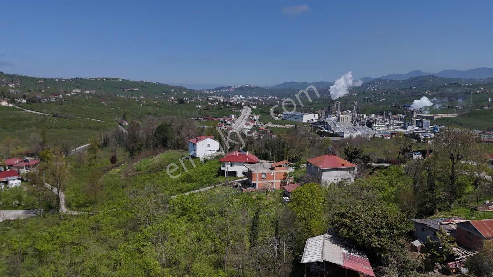 Ordu Kökenli Mahallesinde Satılık Arsa - Görsel 6