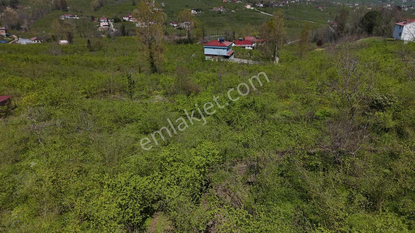 Ordu Kökenli Mahallesinde Satılık Arsa - Görsel 20