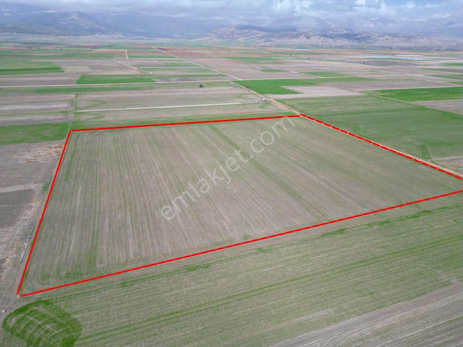 Isparta Bozanönünde 43000m² Dümdüz Sera Yatırımına Uygun Satılık - Görsel 3