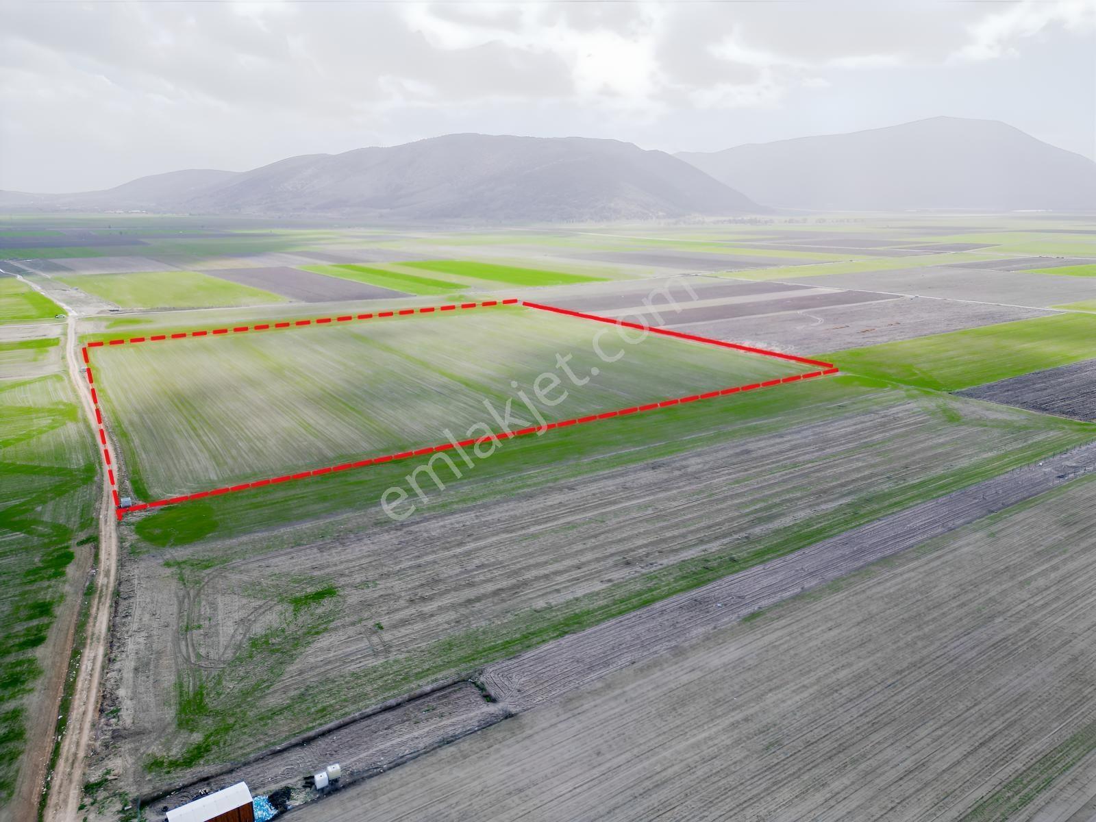Isparta Bozanönünde 43000m² Dümdüz Sera Yatırımına Uygun Satılık - Görsel 4