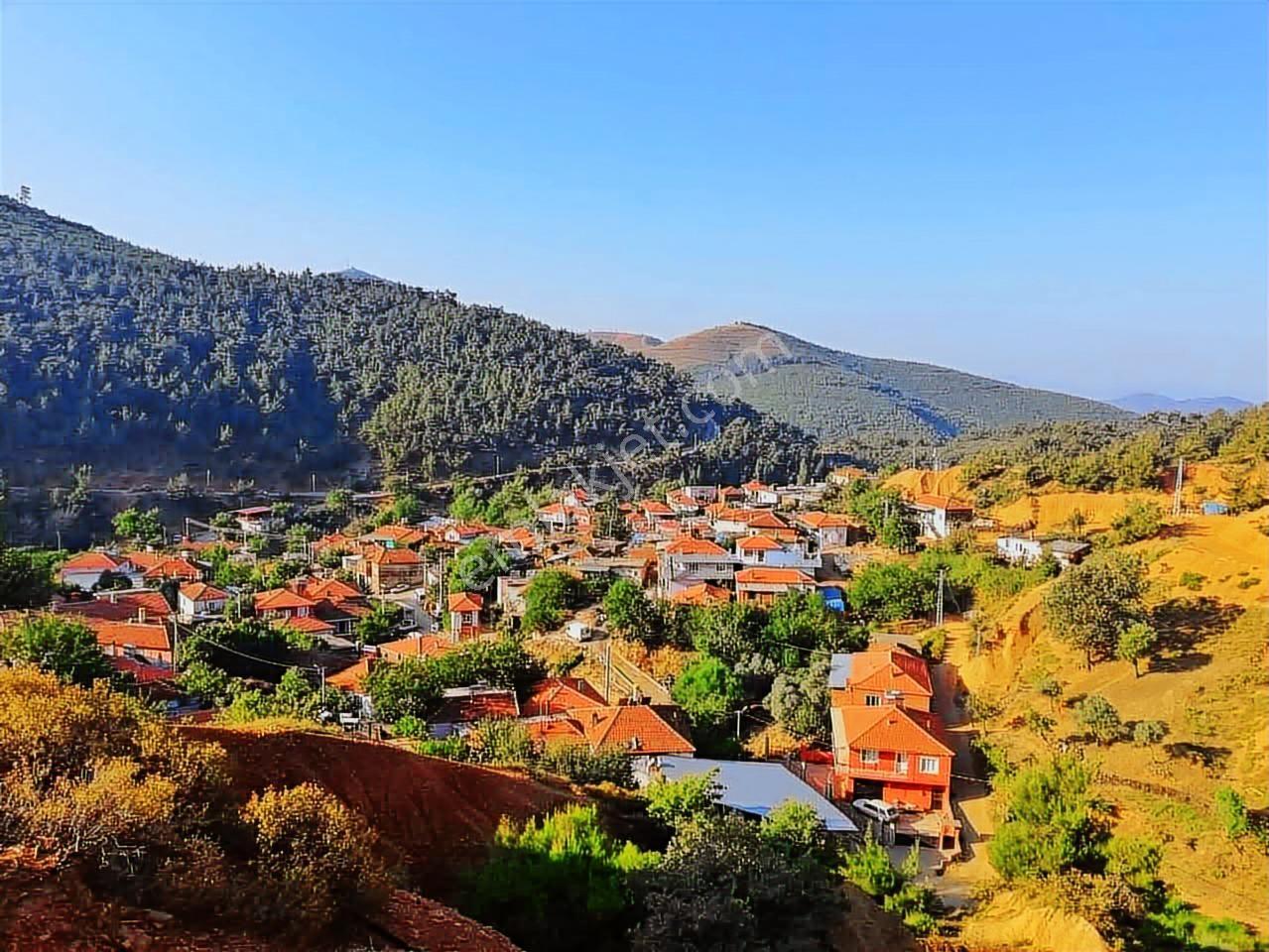 İzmir Bayındır Keçili'de 5400 M2 Zeytinlik - Görsel 16