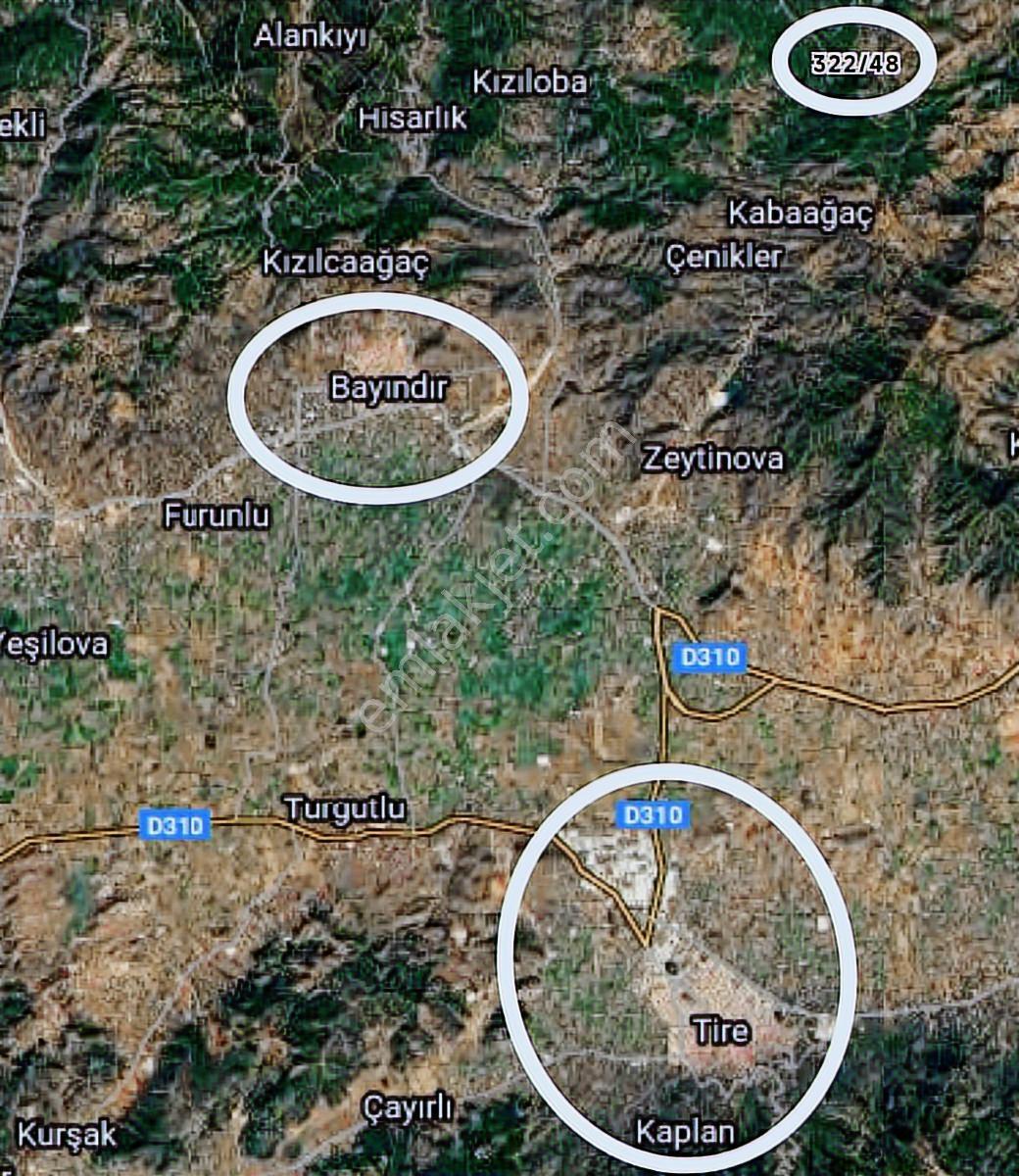 İzmir Bayındır Keçili'de 5400 M2 Zeytinlik - Görsel 6