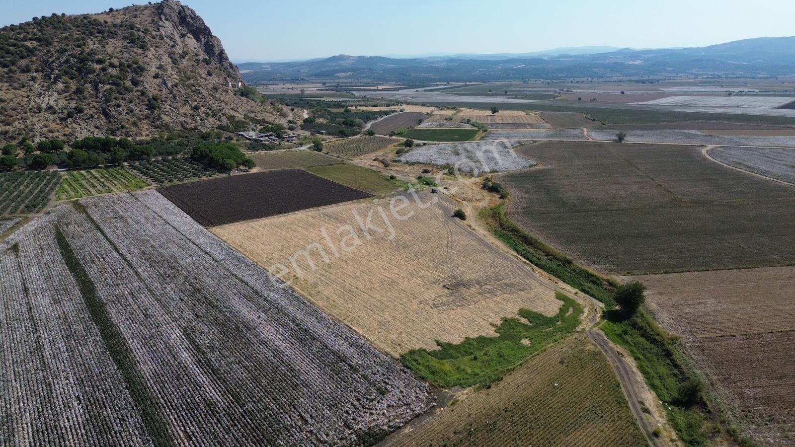 İzmir Bergama Batı Anadolu Serbest Bölgeye Yakın Satılık Tarla - Görsel 18