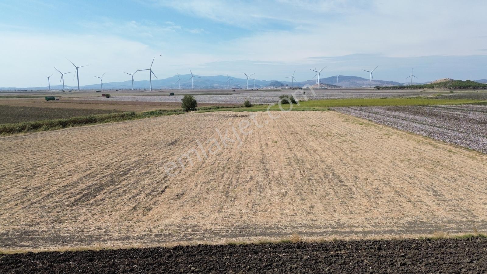 İzmir Bergama Batı Anadolu Serbest Bölgeye Yakın Satılık Tarla - Görsel 23