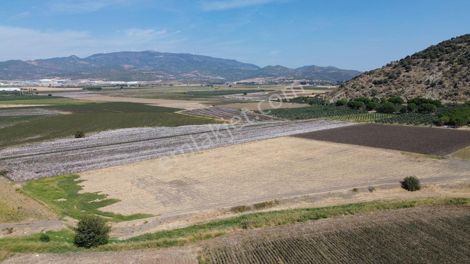 İzmir Bergama Batı Anadolu Serbest Bölgeye Yakın Satılık Tarla - Görsel 24
