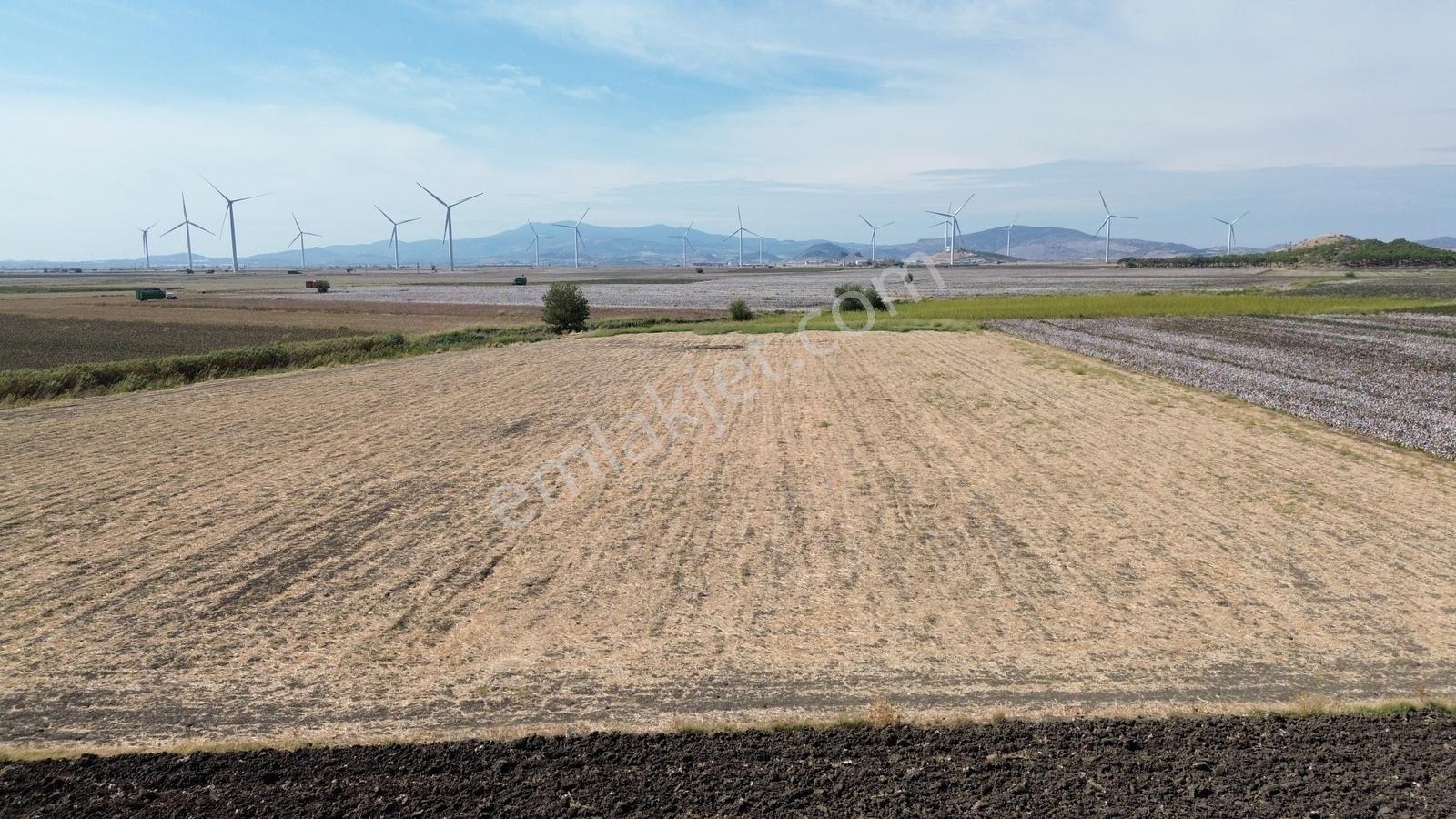 İzmir Bergama Batı Anadolu Serbest Bölgeye Yakın Satılık Tarla - Görsel 19