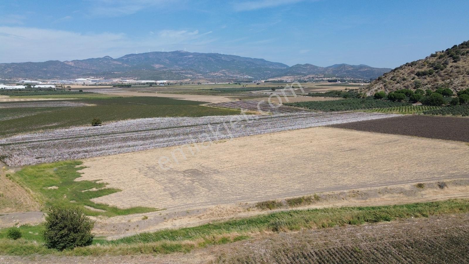 İzmir Bergama Batı Anadolu Serbest Bölgeye Yakın Satılık Tarla - Görsel 30