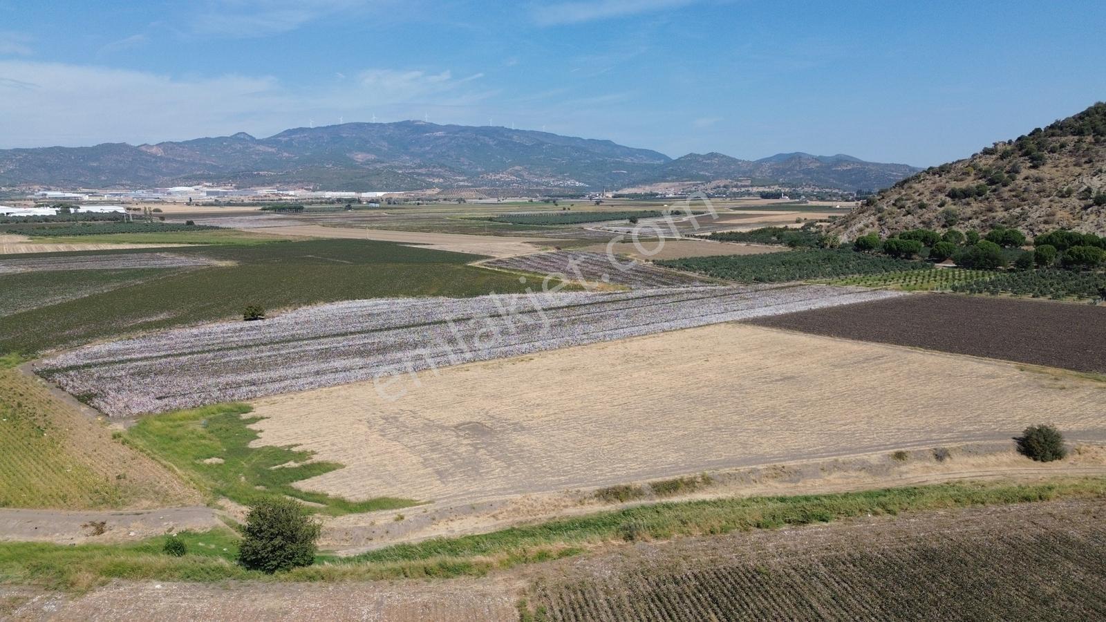 İzmir Bergama Batı Anadolu Serbest Bölgeye Yakın Satılık Tarla - Görsel 20