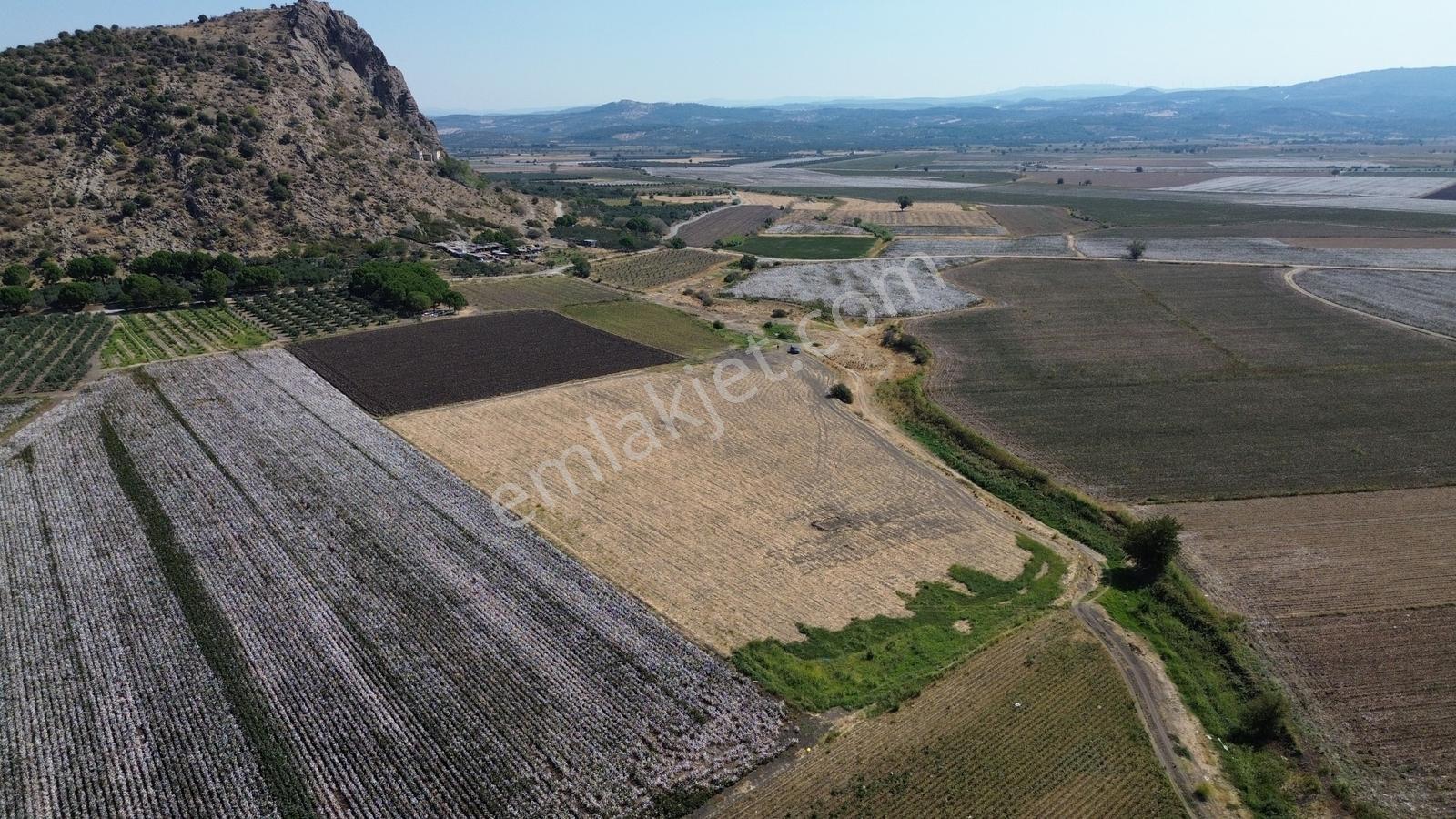 İzmir Bergama Batı Anadolu Serbest Bölgeye Yakın Satılık Tarla - Görsel 10