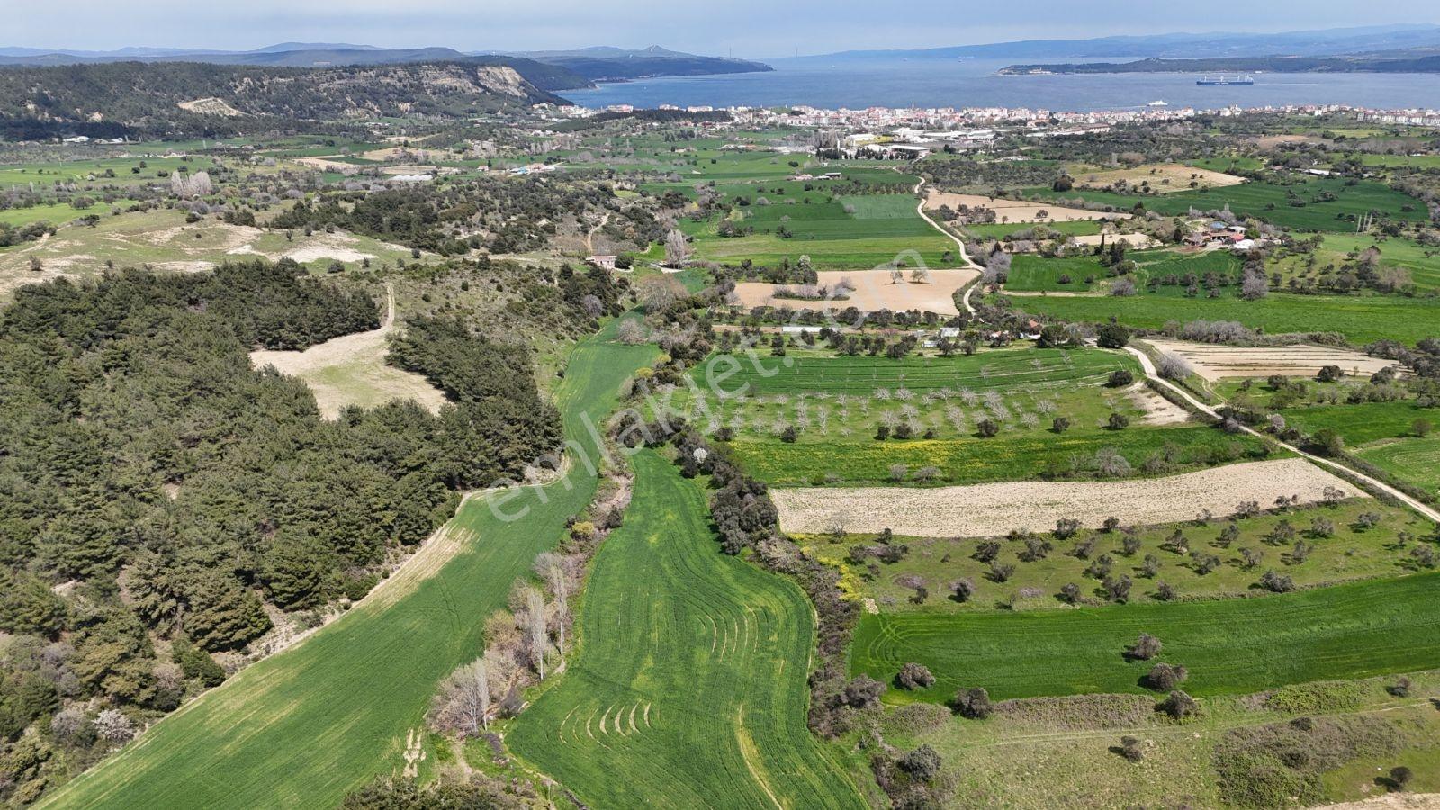 Eceabat İsmetpaşa Mah. 4600 M2 Alıcısına Kazandırır - Görsel 6