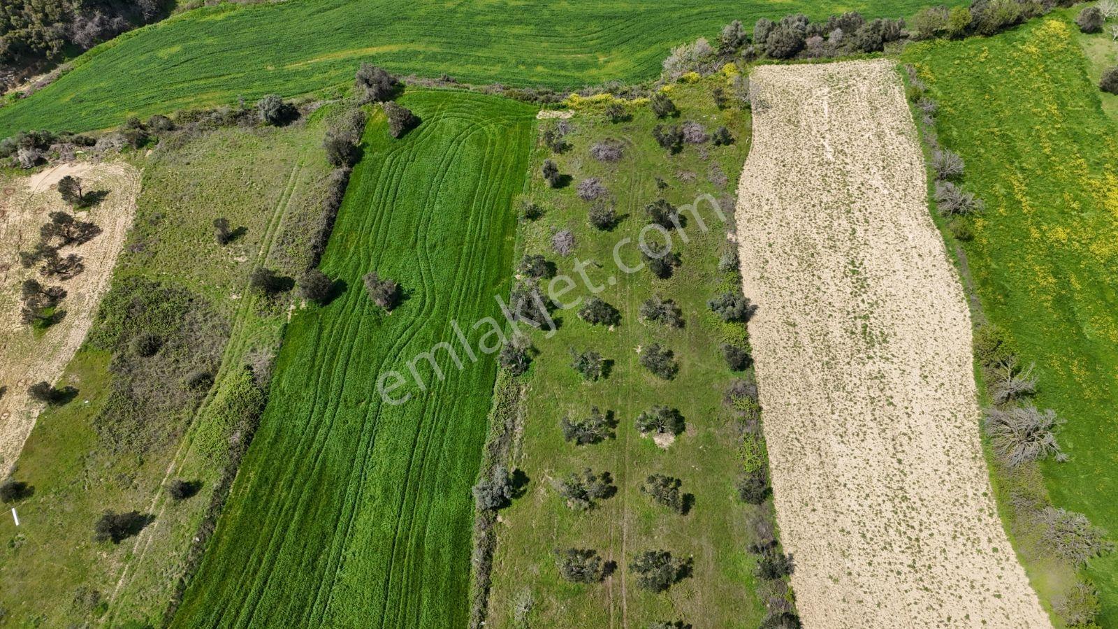 Eceabat İsmetpaşa Mah. 4600 M2 Alıcısına Kazandırır - Görsel 3