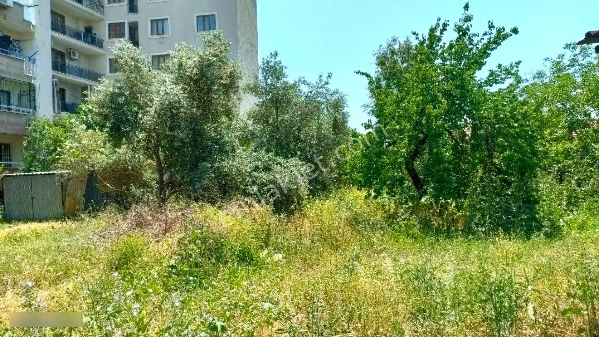 Karaçay Mahallesi Hürriyet Caddesi Üzerinde Satılık Kiracılı Daire - Görsel 2