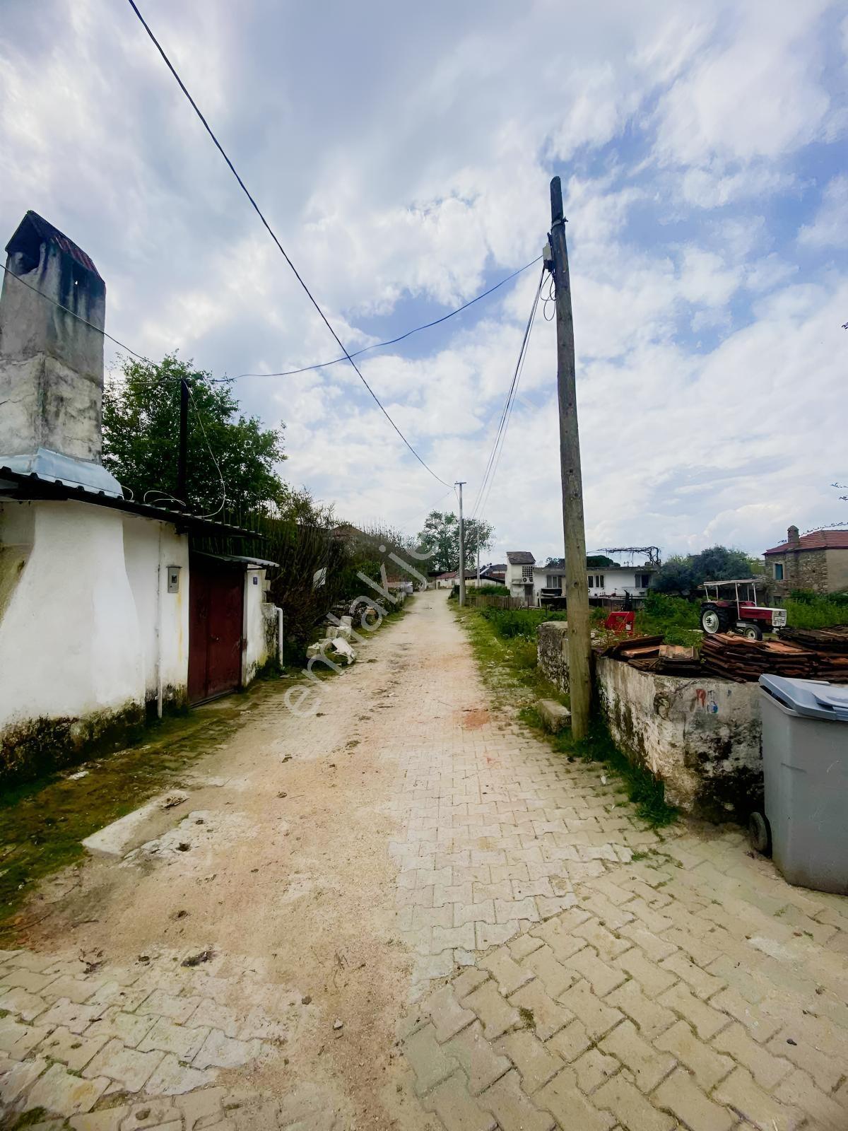 Aydın Çakırbeyli Köyiçi İmarlı Ev Yapılabilir Bahçe - Görsel 4